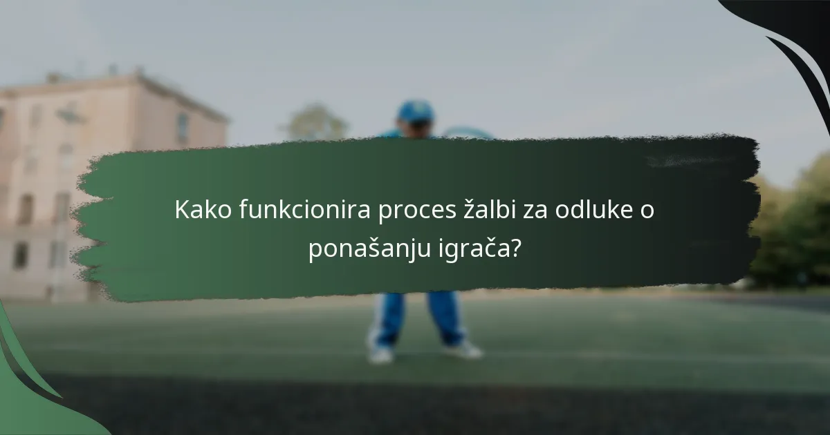 Kako funkcionira proces žalbi za odluke o ponašanju igrača?