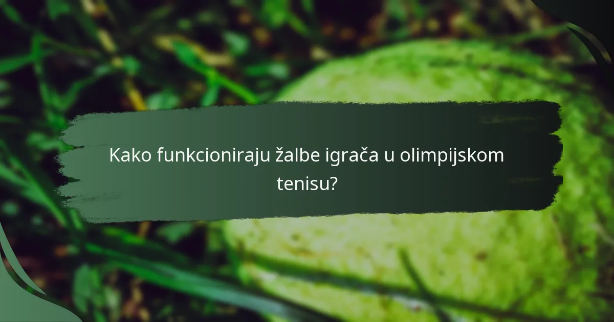 Kako funkcioniraju žalbe igrača u olimpijskom tenisu?