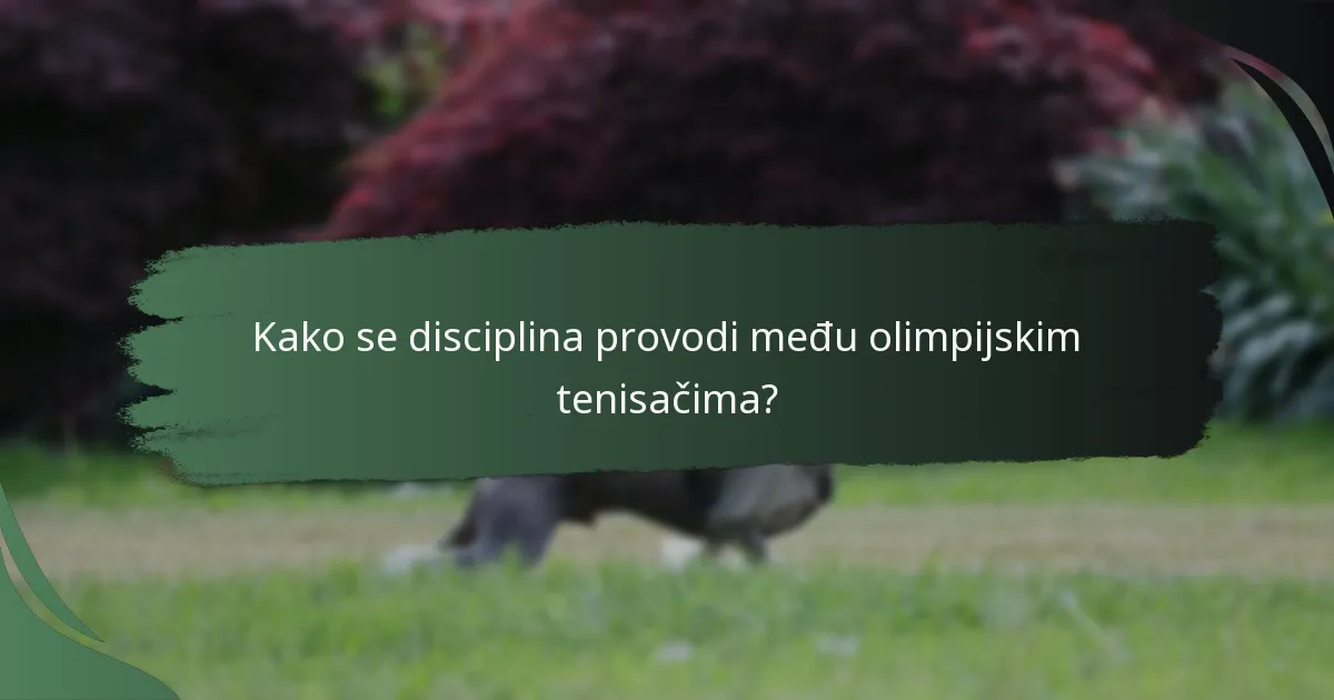 Kako se disciplina provodi među olimpijskim tenisačima?