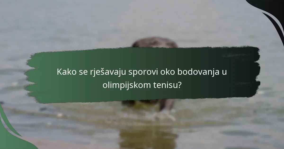 Kako se rješavaju sporovi oko bodovanja u olimpijskom tenisu?