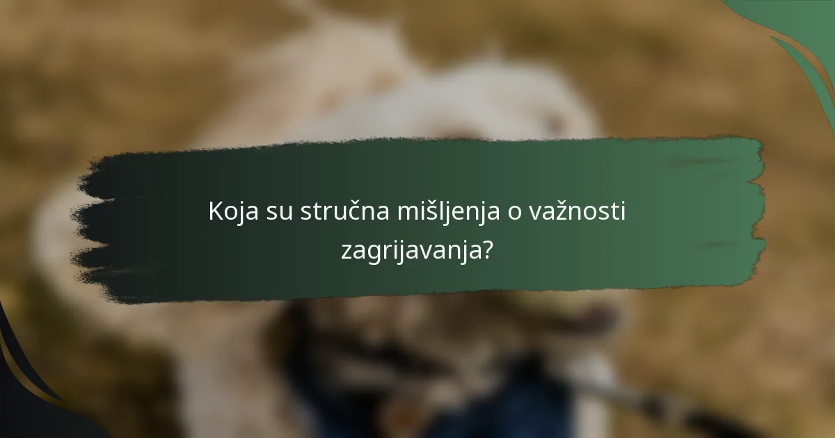 Koja su stručna mišljenja o važnosti zagrijavanja?