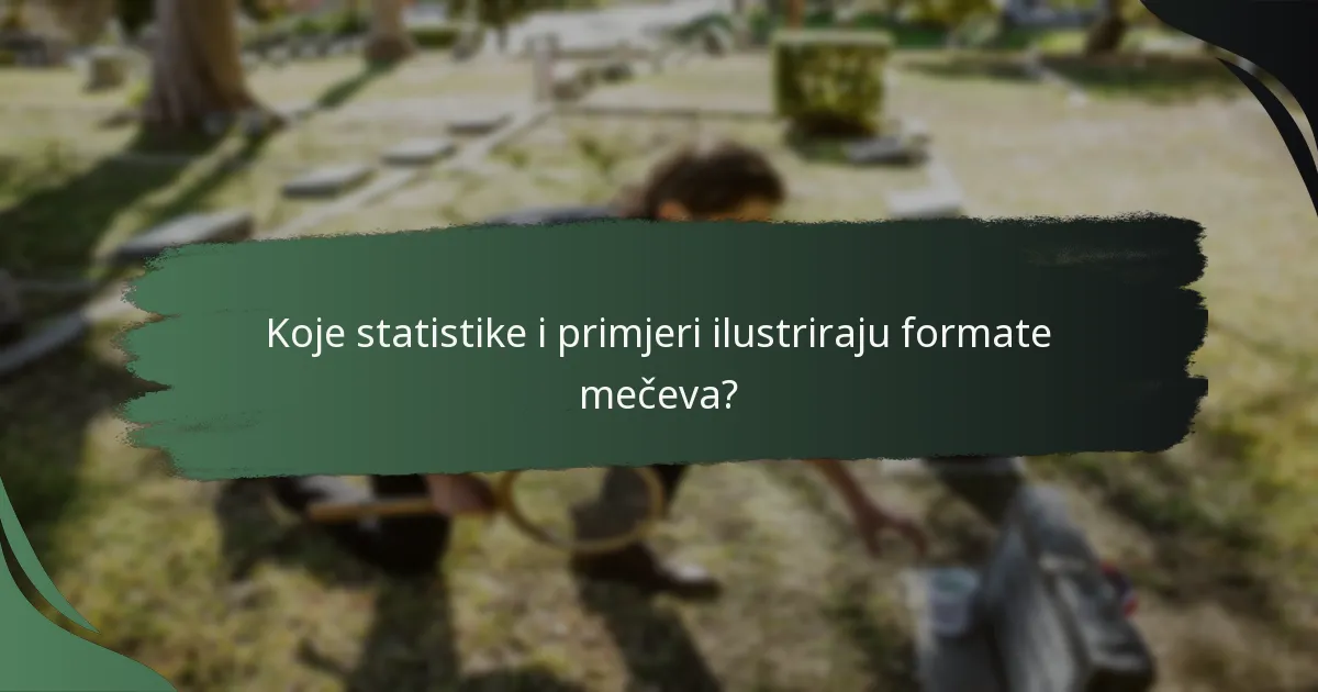 Koje statistike i primjeri ilustriraju formate mečeva?