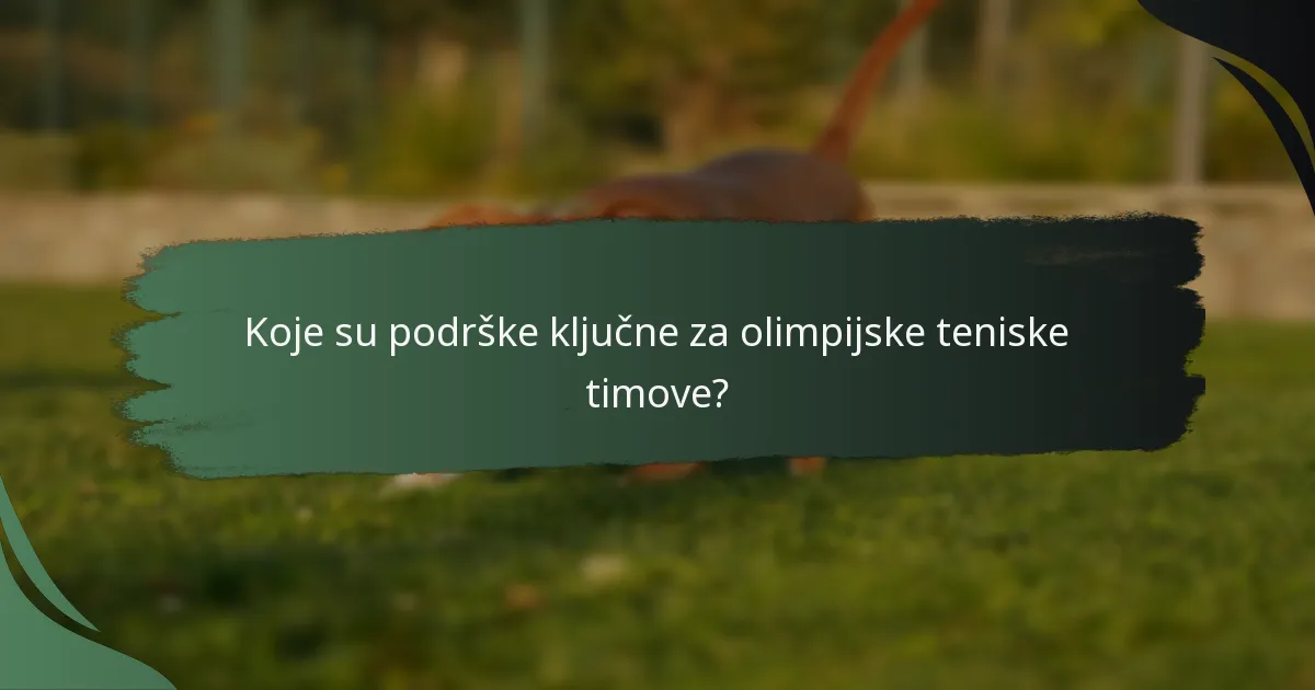 Koje su podrške ključne za olimpijske teniske timove?