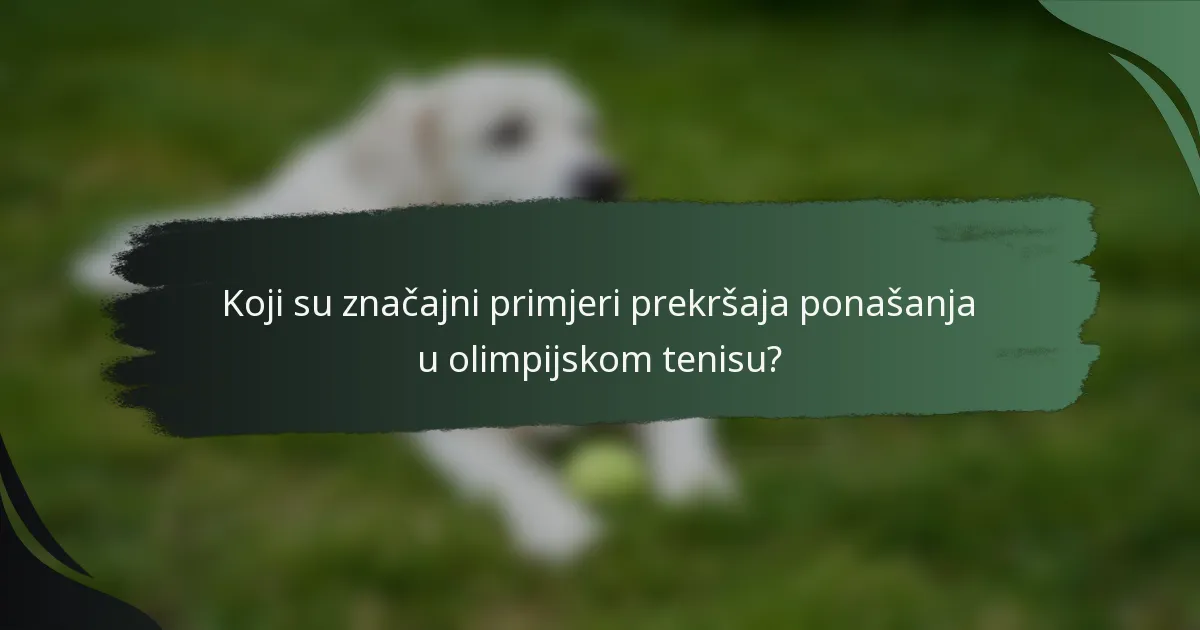 Koji su značajni primjeri prekršaja ponašanja u olimpijskom tenisu?
